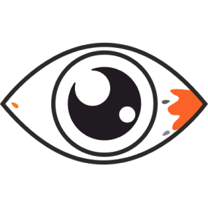vision